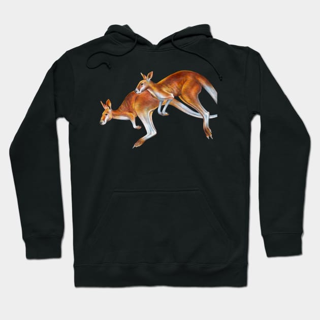 Kangaroo Hoodie by Tim Jeffs Art